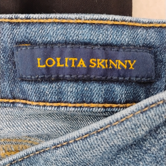 Lucky Brand Blue Lolita Skinny Jeans Sz 14/32R - Picture 5 of 7